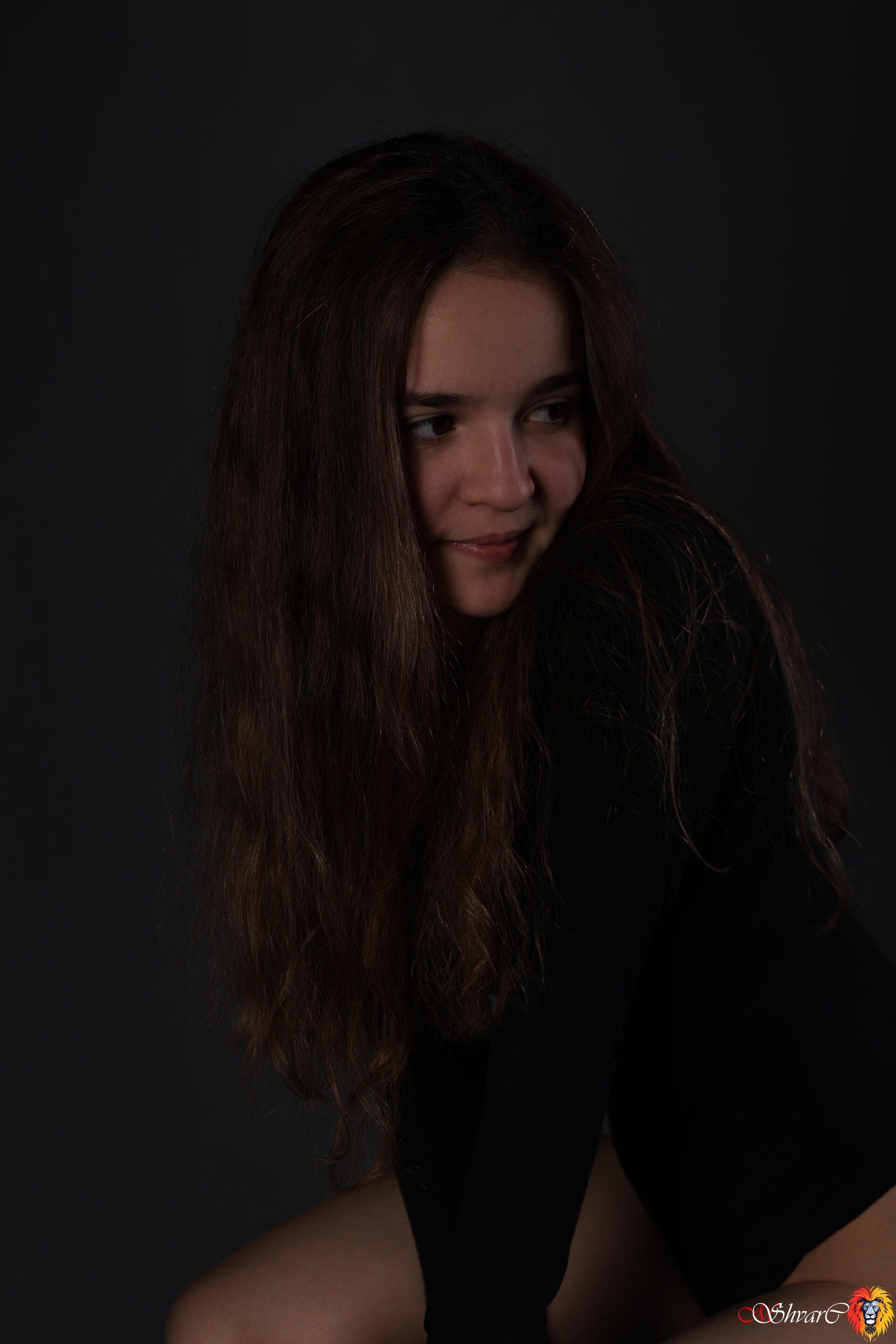 Кадр Shvarc Studio 11