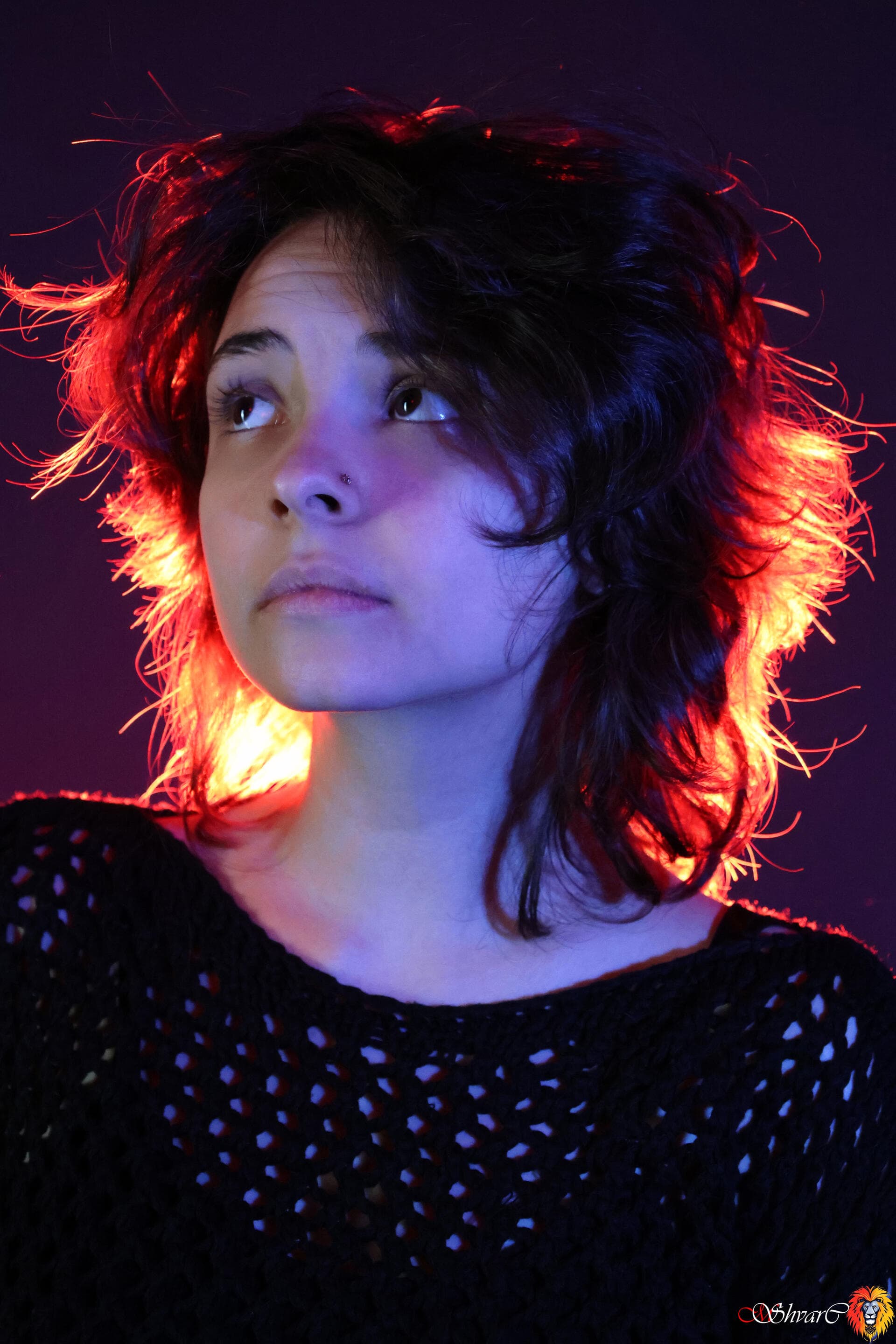 Портфолио 17