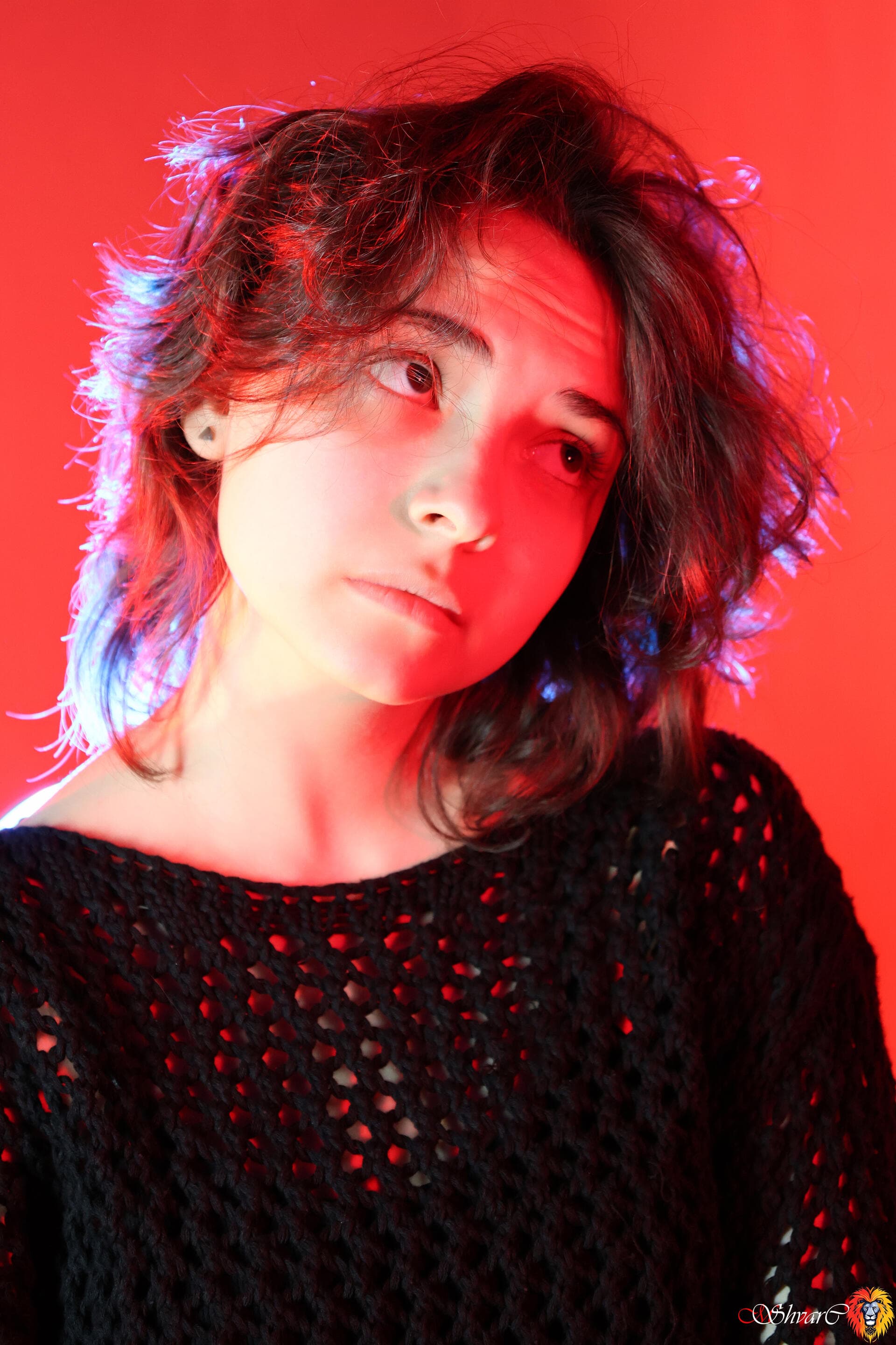 Портфолио 31