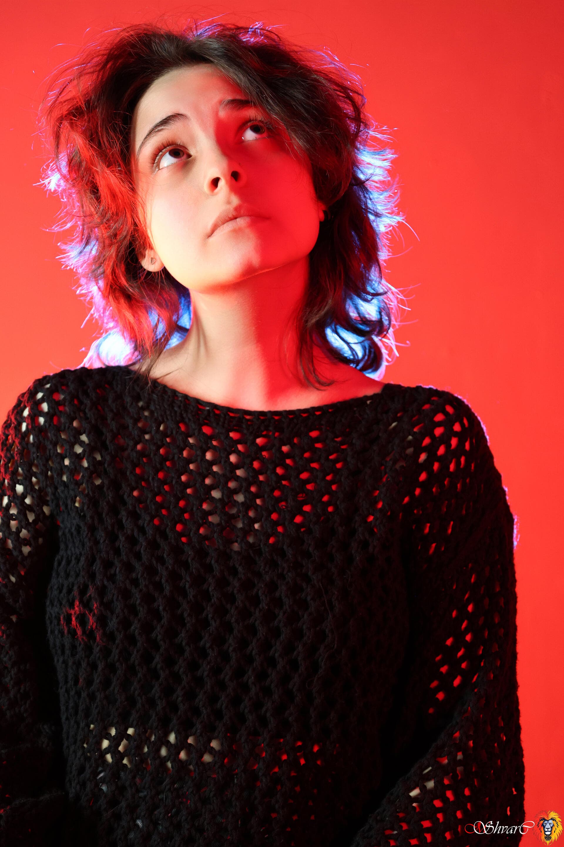 Портфолио 33