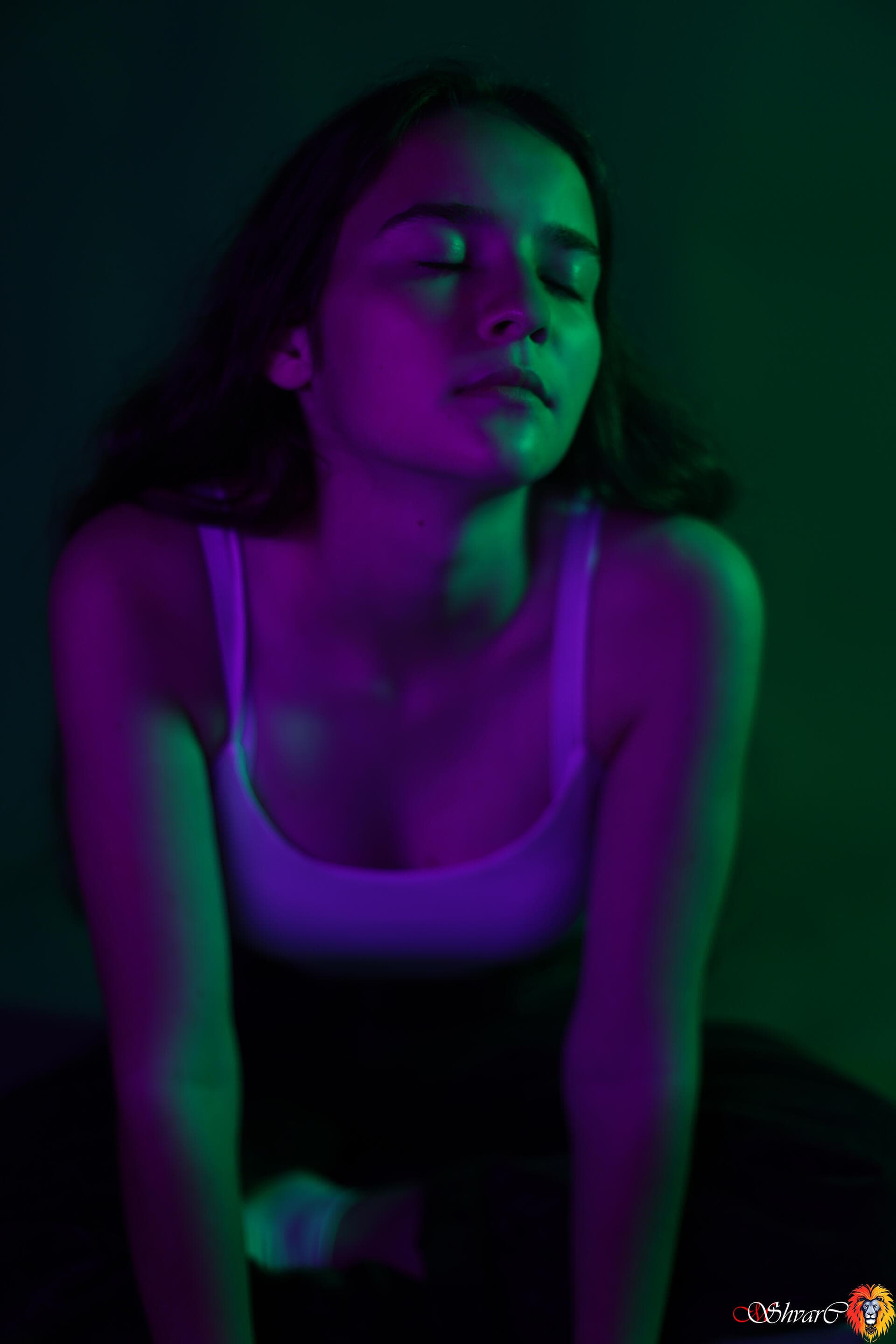 Портфолио 66