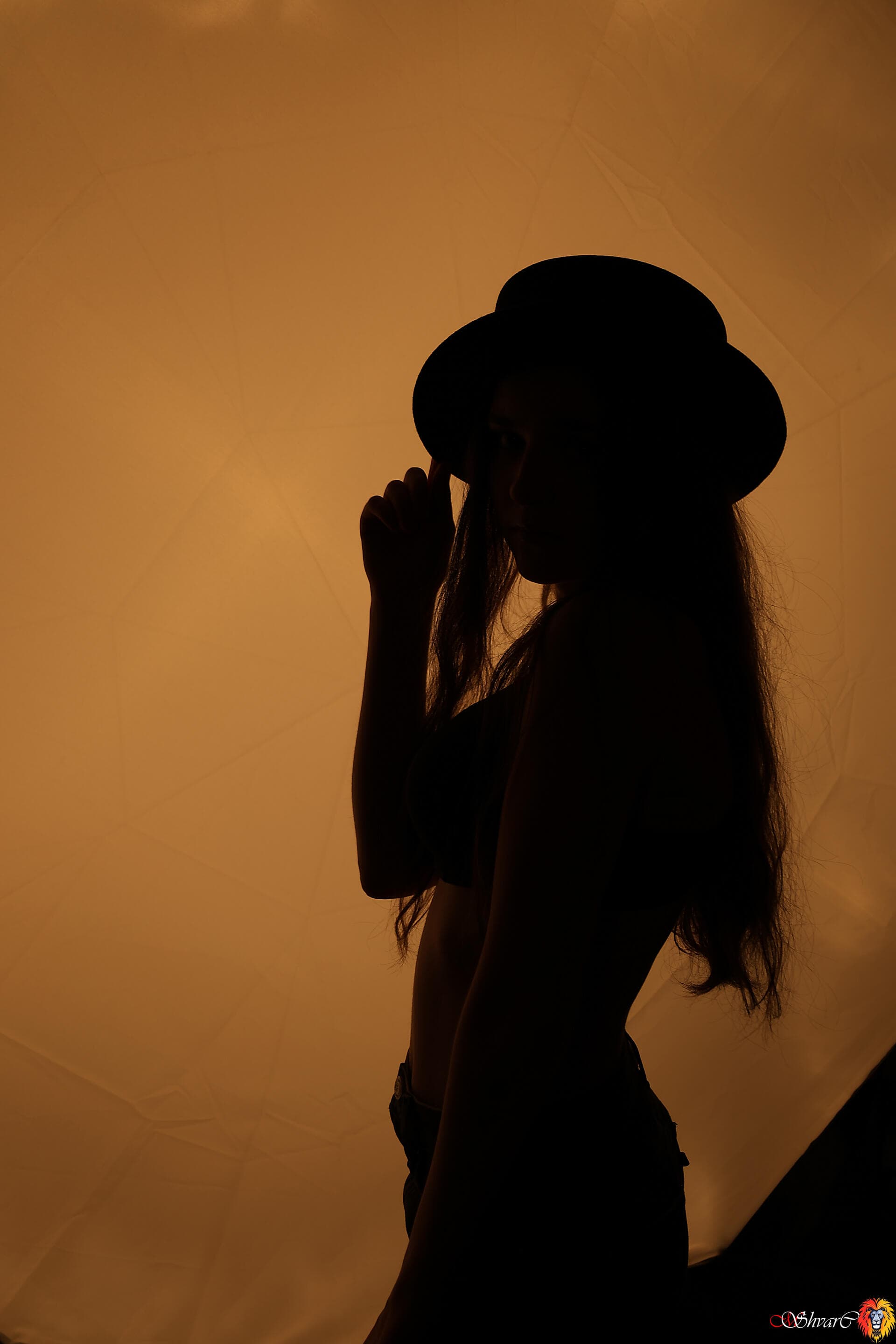 Портфолио 67