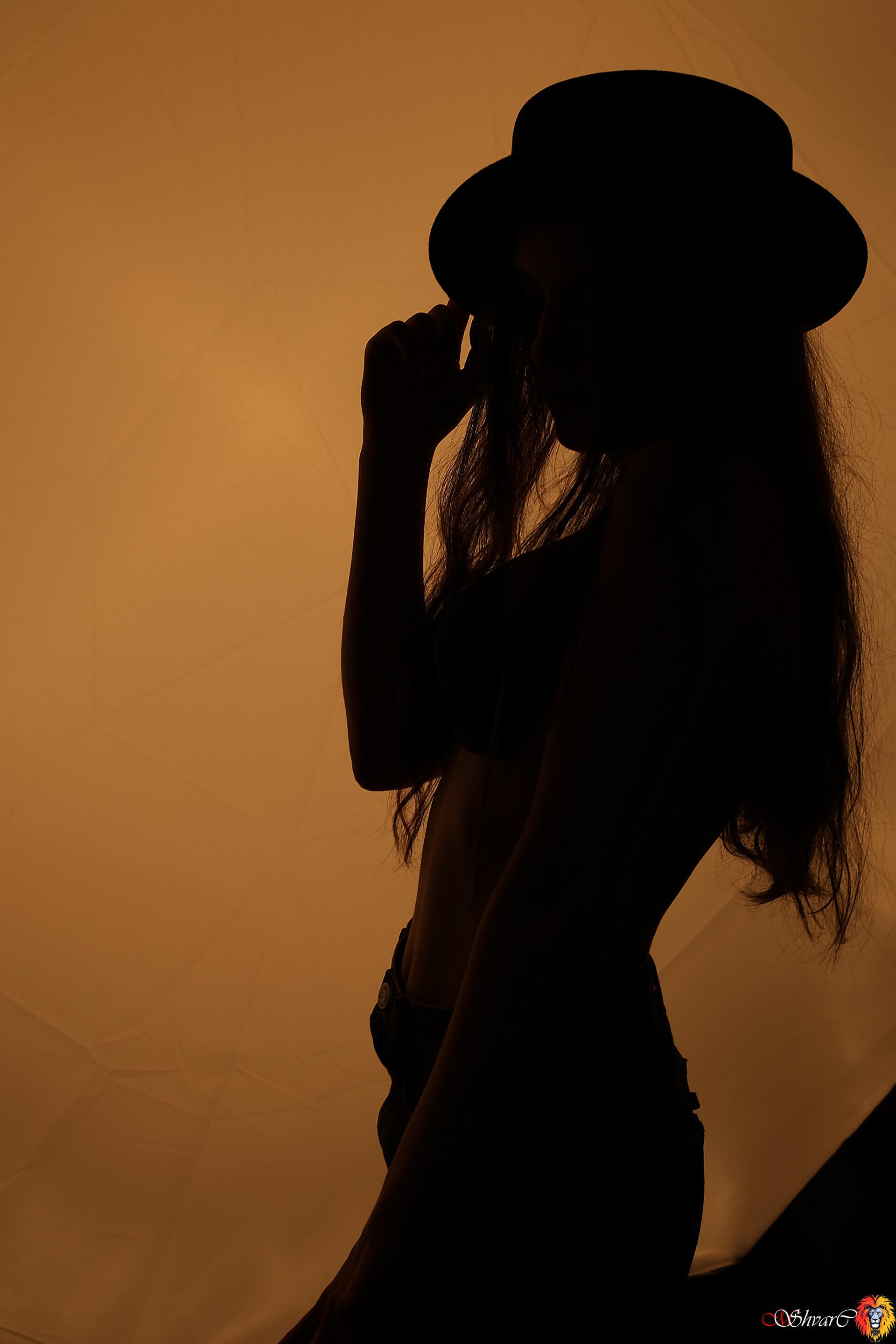 Портфолио 68