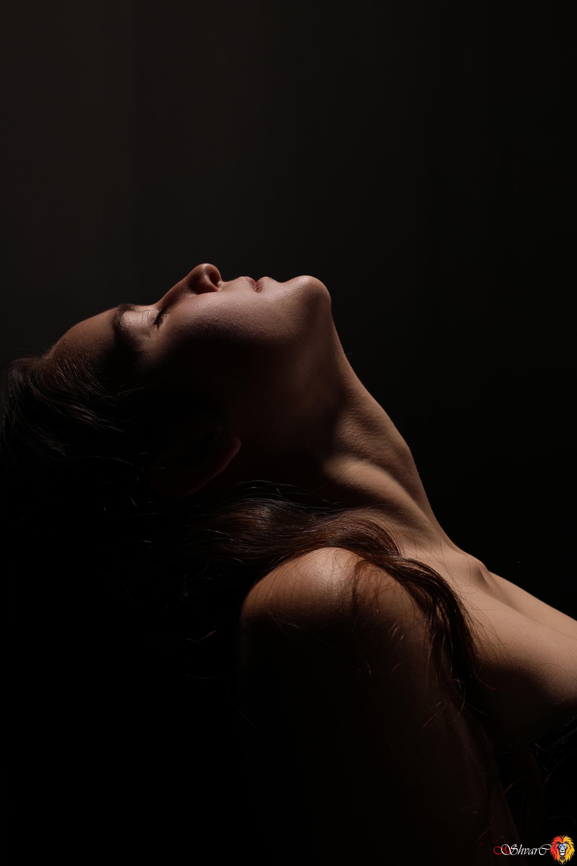 Портфолио 84