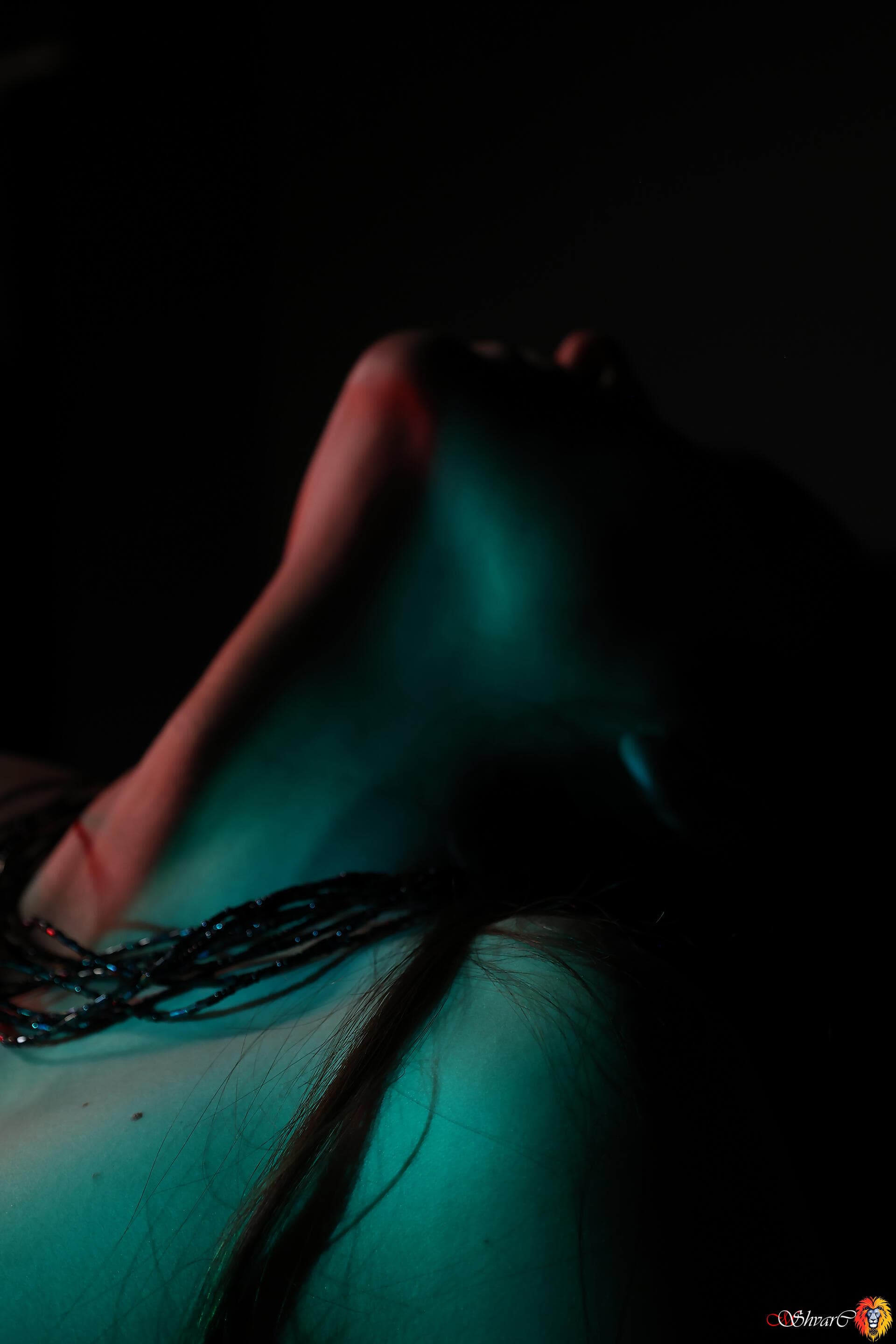 Портфолио 88