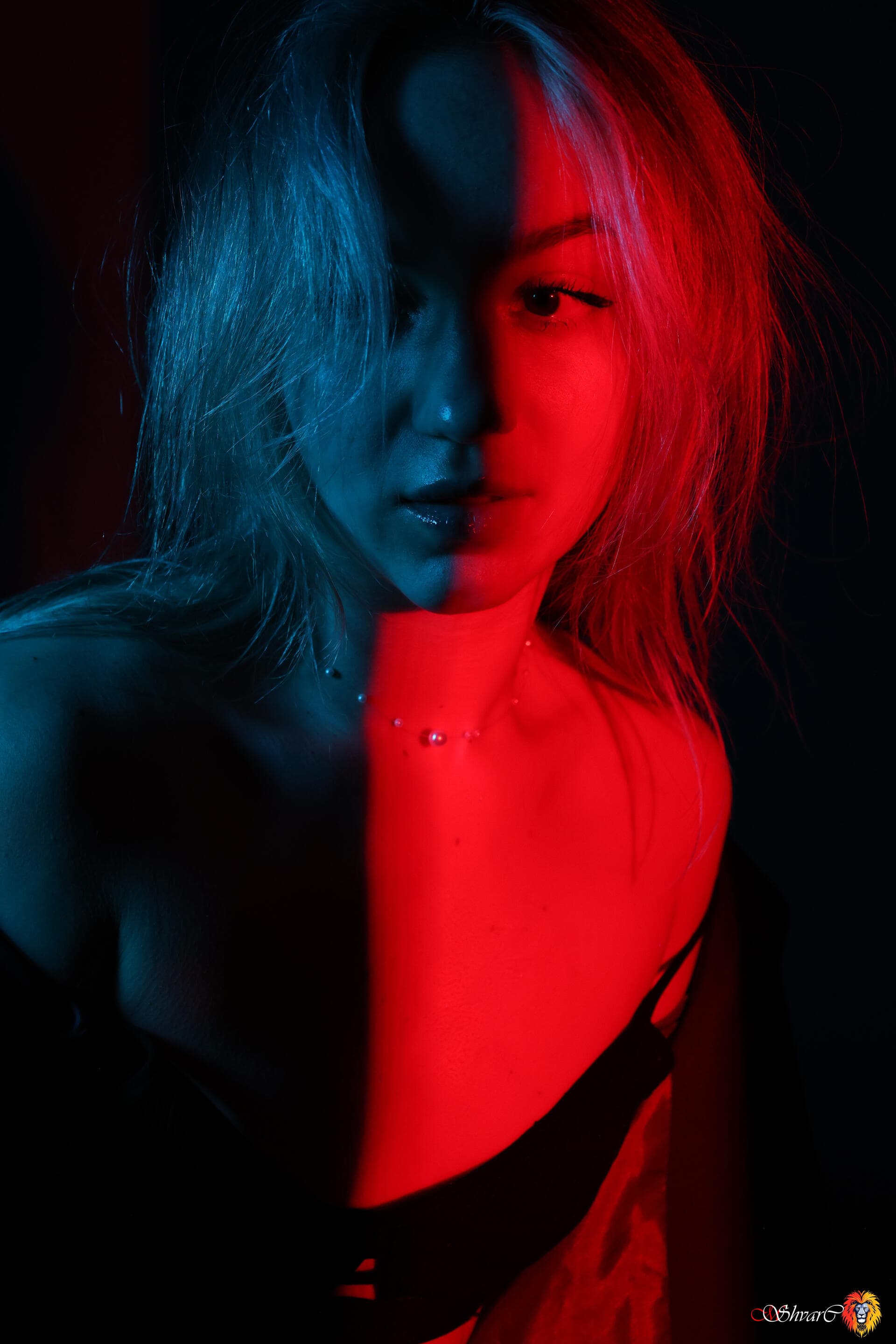 Портфолио 103