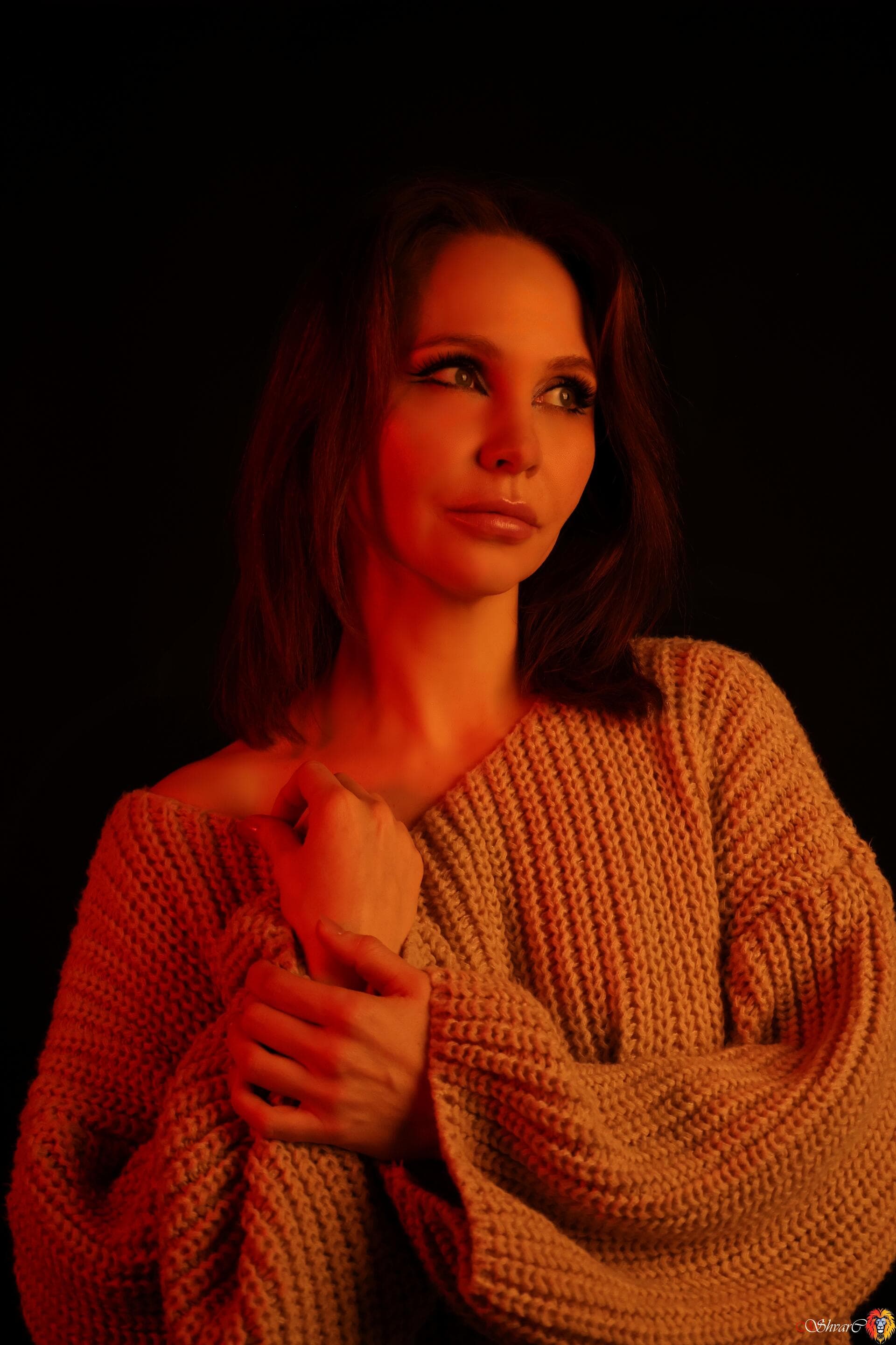 Портфолио 115