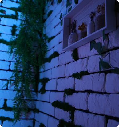 Shvarc Studio - Фон в виде стены фото